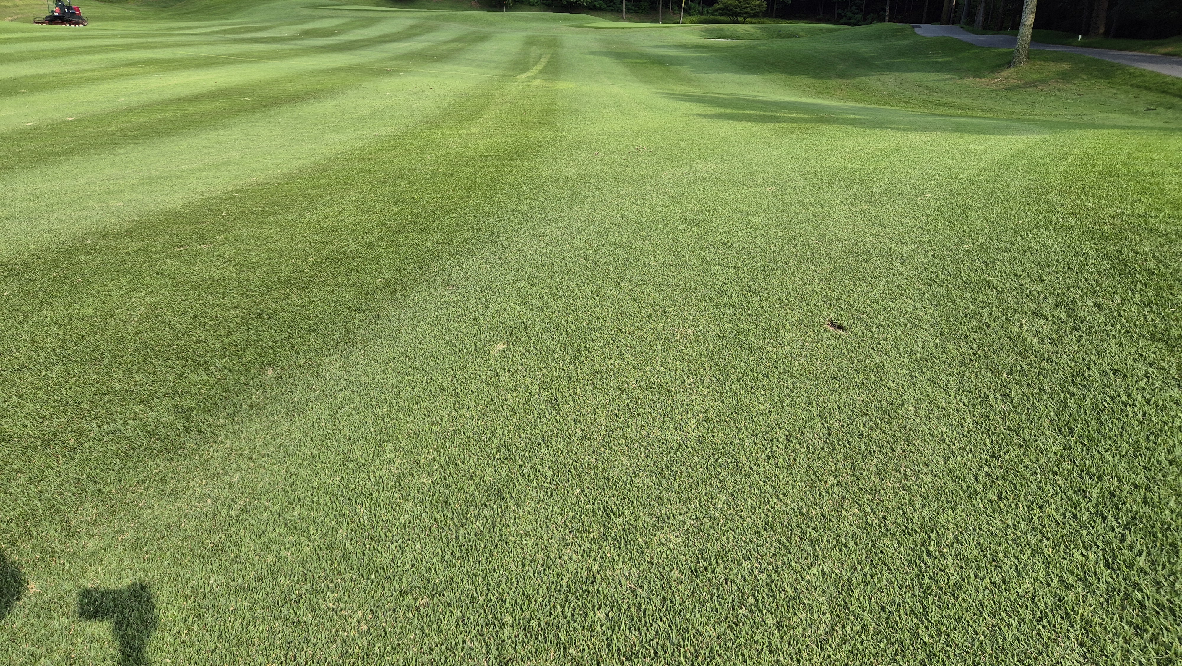 한성cc 오렌지-그린 코스 라운드 후기