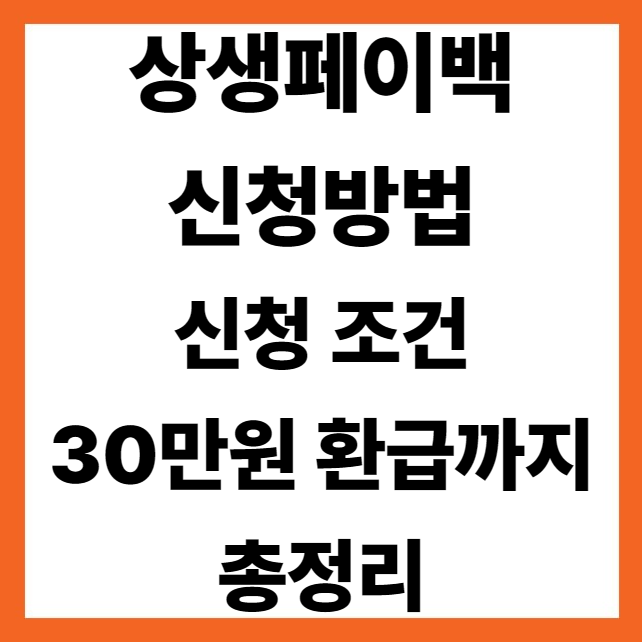 상생페이백 신청방법 2025년 신청 조건부터 30만원 환급까지 총정리