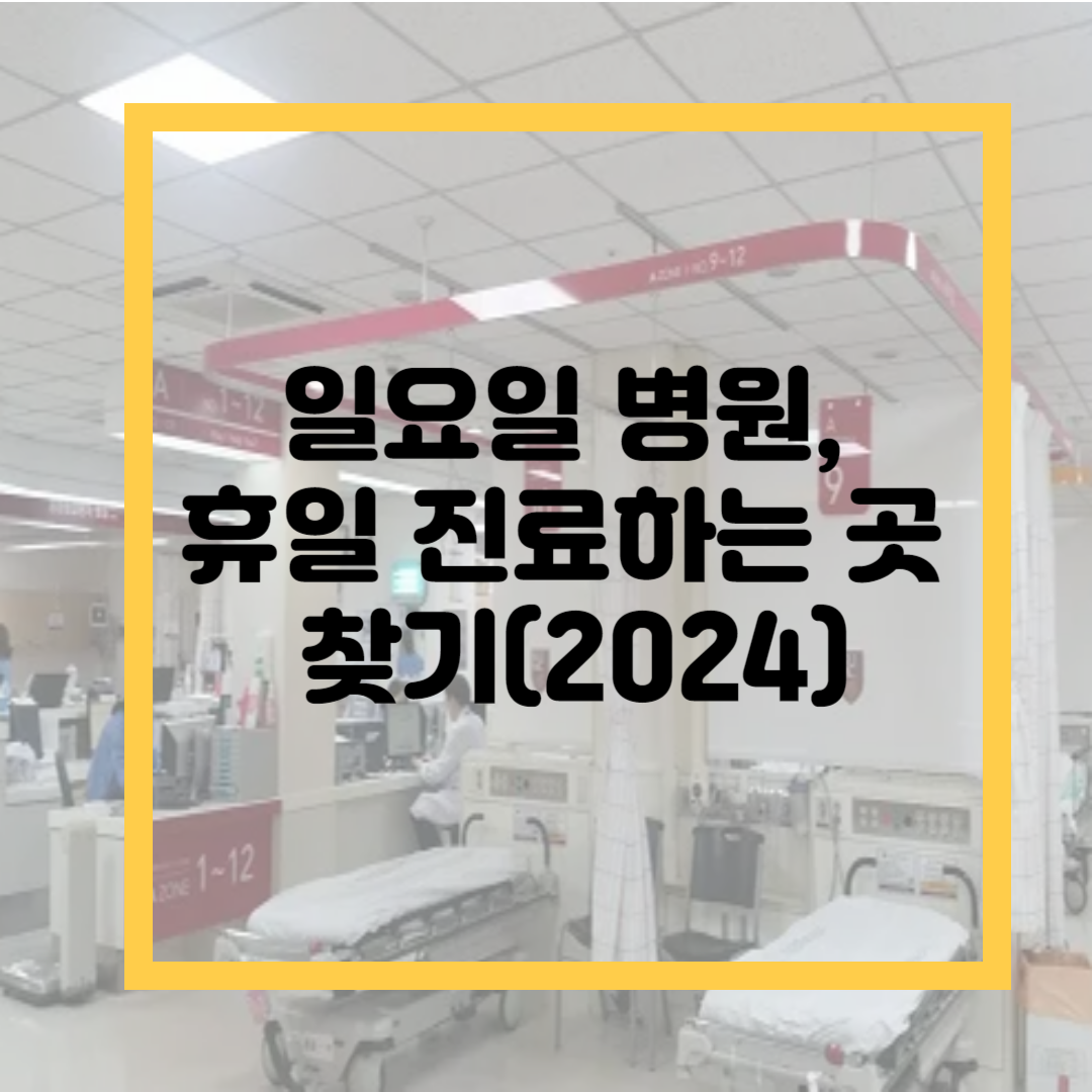 365일 진료, 일요일 병원 휴일 진료하는 곳 찾