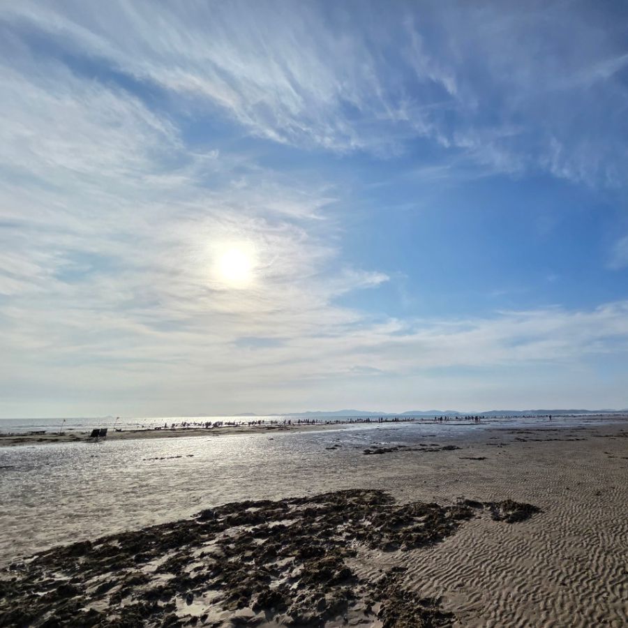 청포대해수욕장