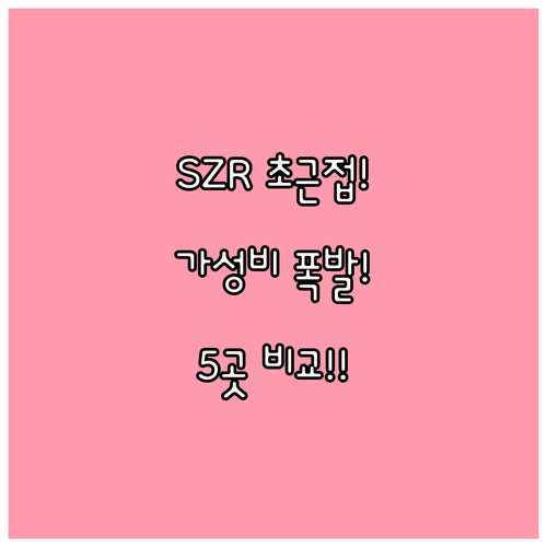 두바이 호텔 5곳 비교분석 SZR 지..