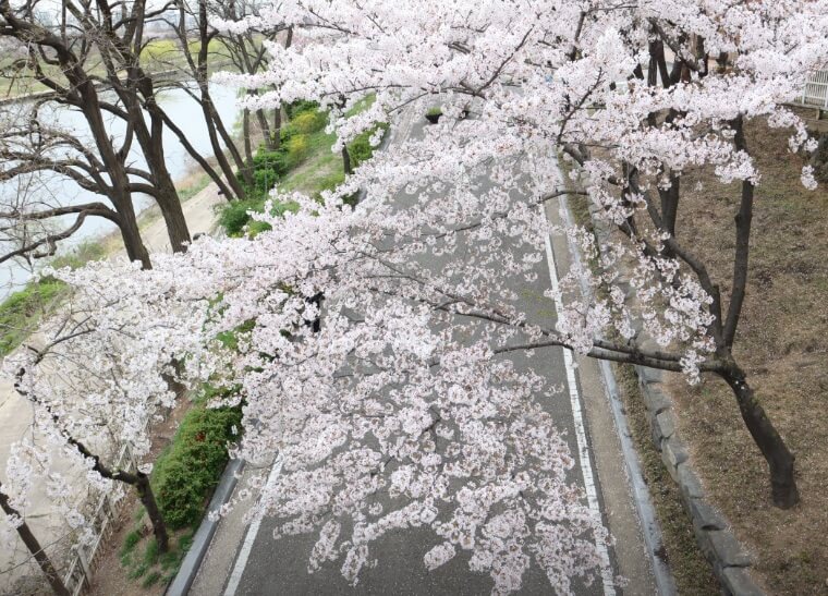 선유도공원 가는 방법