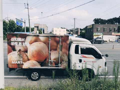대전지입