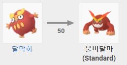 불비달마 진화