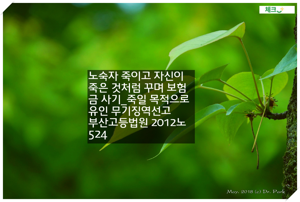노숙자 죽이고 자신이 죽은 것처럼 꾸며 보험금 사기_죽일 목적으로 유인 무기징역선고