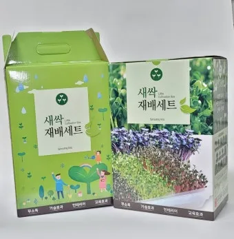 새싹무 재배 씨앗 소독 얇게 파종 통풍 관리_3