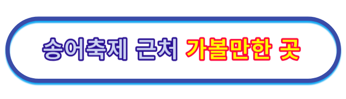 평창-가볼만한곳