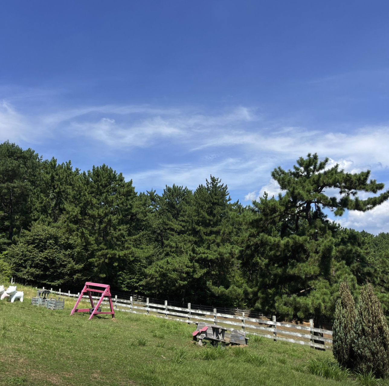 6시 내고향 남해양떼목장 양모리학교 산양유 체험
