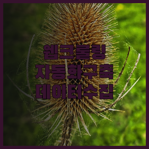 웹크롤링 데이터 수집, 맞춤형 자동화