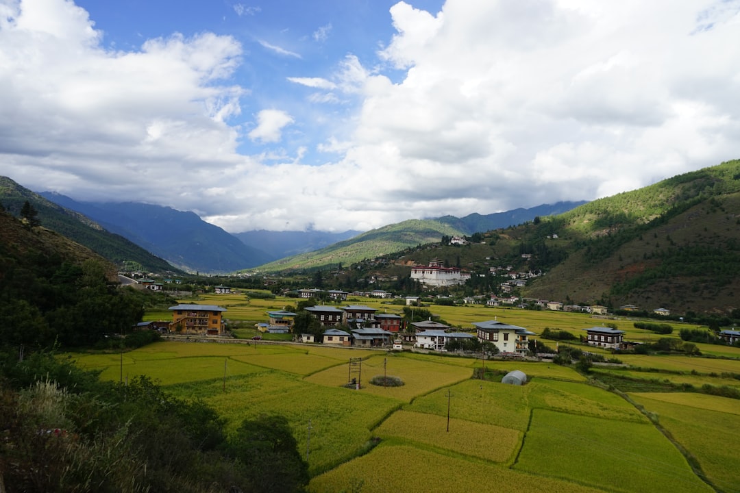 Wangsil District