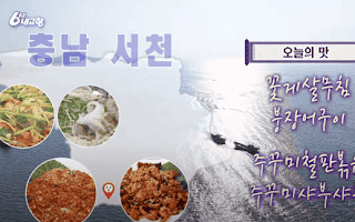 충남 서천 주꾸미