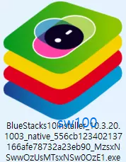 블루스택 설치파일