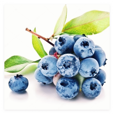 블루베리-효능-효소