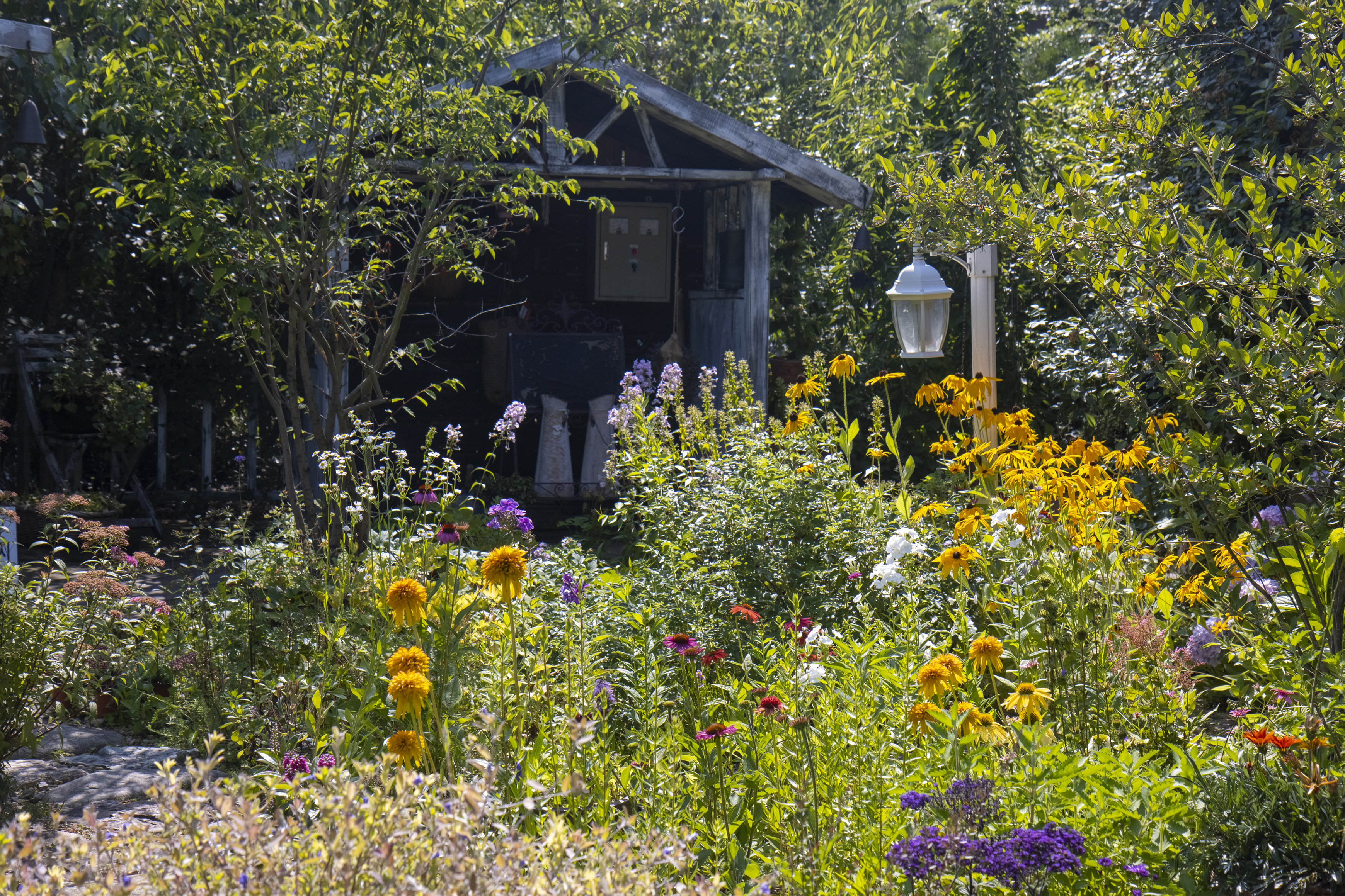 쉼이 있는 민간정원 리스트-경북 경주 야생화일기