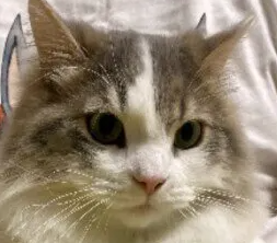 뜨거운 음료나 난로 겨울에는 주의! 의외로 일어나기 쉬운 사고는?