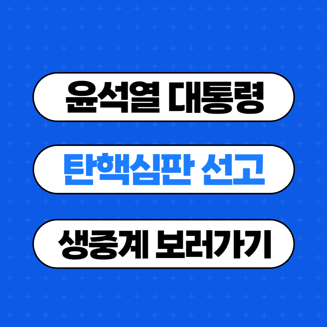 윤석열 대통령 탄핵심판선고 생중계 보러가기
