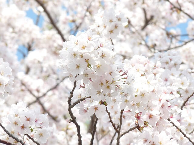 경복궁 주차장 요금