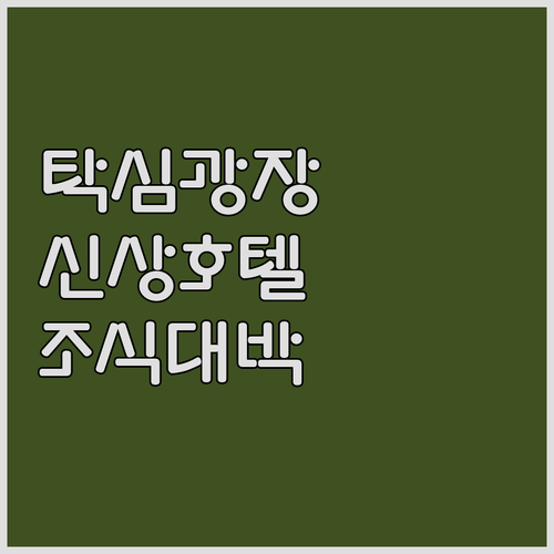 이스탄불 탁심 광장 근처 리모델링 호..