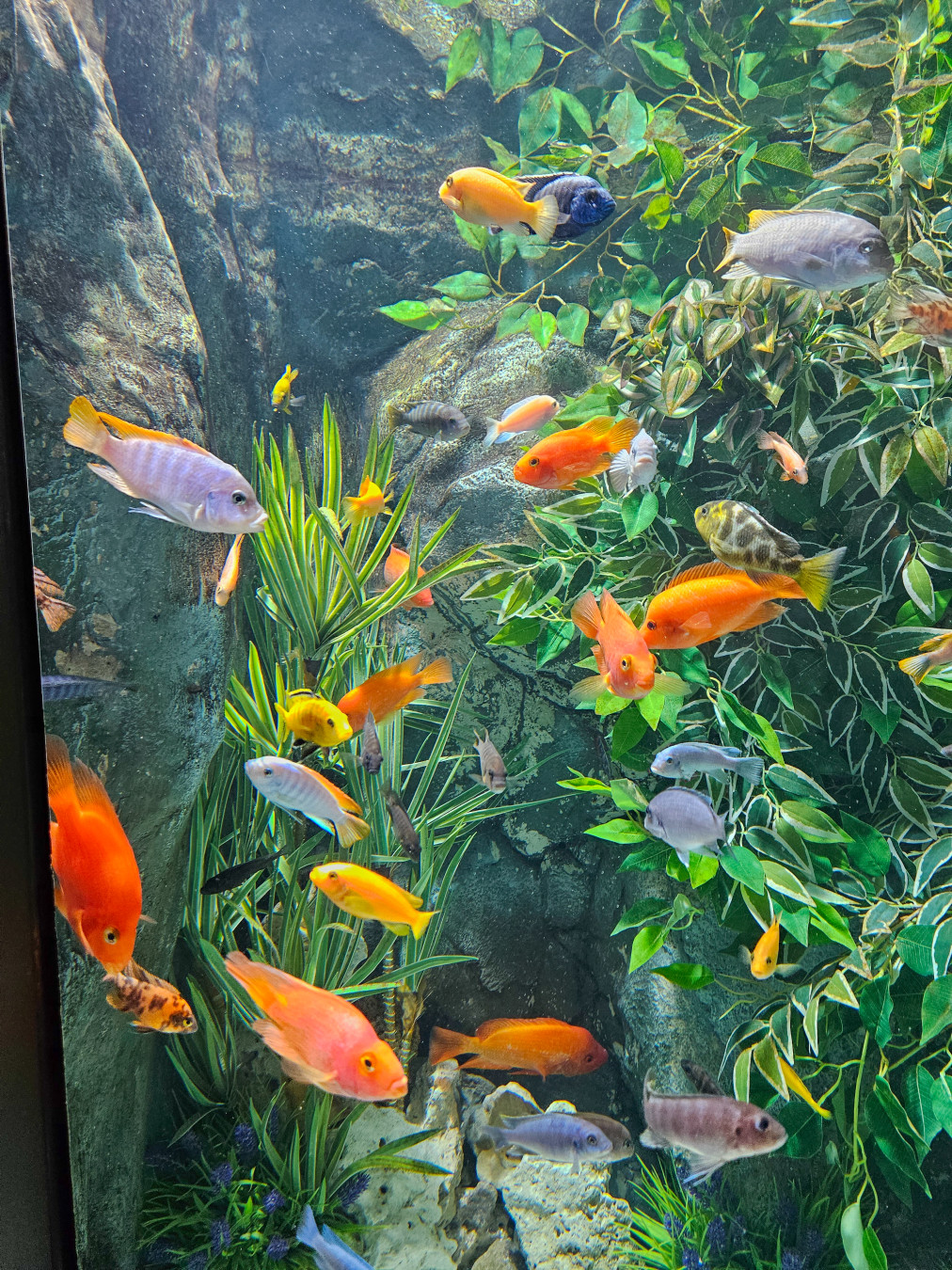 롯데월드 아쿠아리움