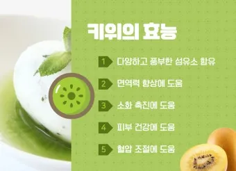 키위 효능과 부작용 비타민 풍부한 과일 정보_51