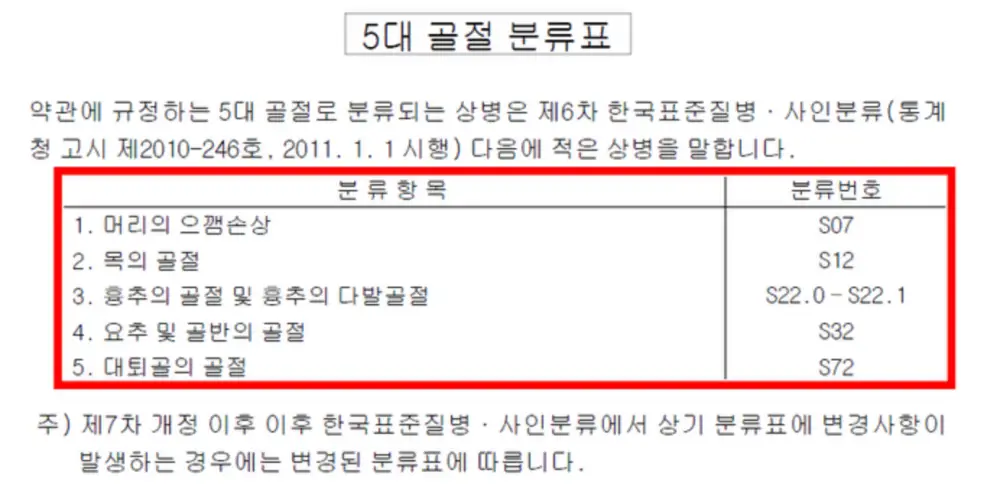 5대골절-분류표