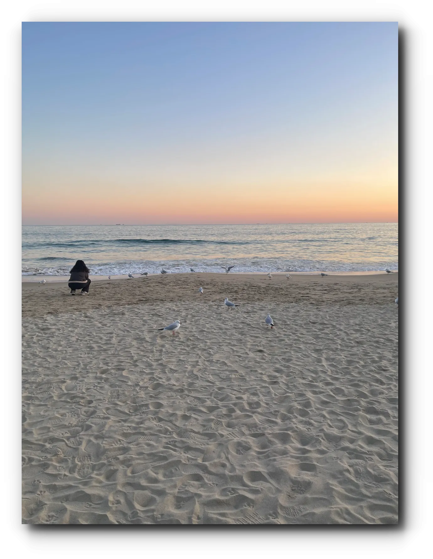 해가-지면서-다채로운-하늘과-해변에-갈매기와-사람-한-명이-앉아있음