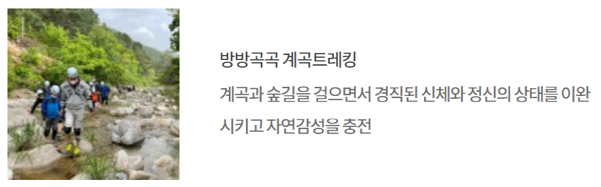 국립 춘천 숲체원