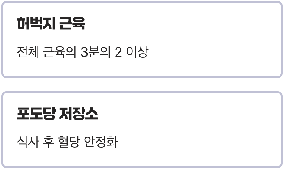 우리 몸 최대의 '포도당 창고', 허벅지 근육