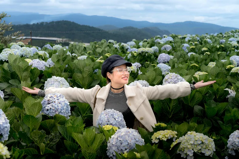 초안산수국동산