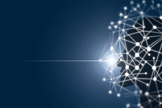 봉크코인 시세와 전망[2024~2030]