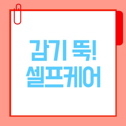 감기 빨리 낫는법 5가지 – 약 없이 집에서 하는 셀프케어