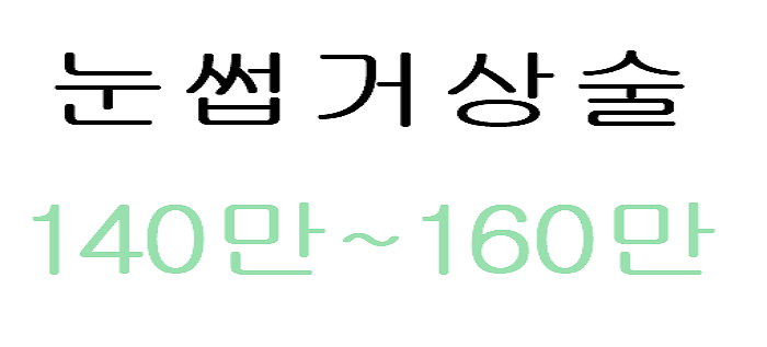 비용
