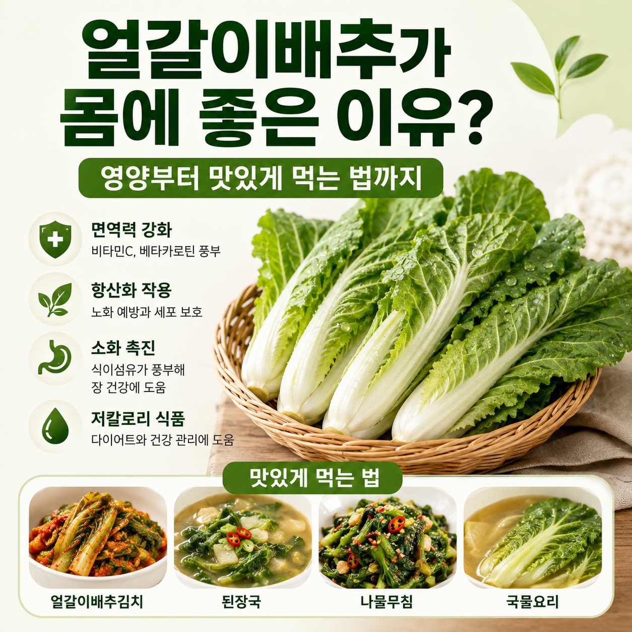 얼갈이배추