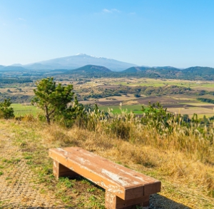 가을여행/11월/제주/감성/여행지