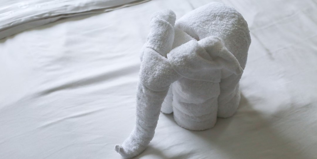 신혼부부의 수건 관리 방법 관련 사진