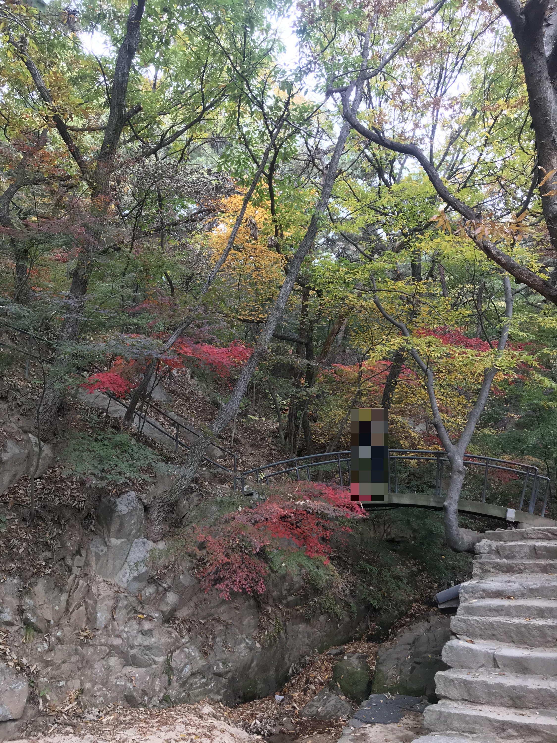 예산 수덕사 역사 자연 경관 활동 및 주변 관광지 안내