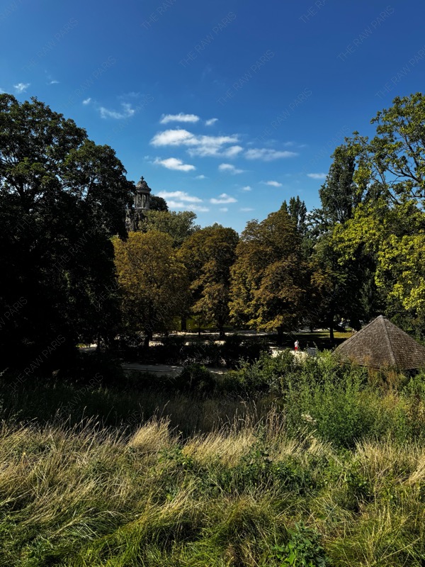 우리 동네 공원, 여름에 얼마나 예쁘게요 ?