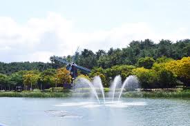 밤낮 꽃놀이 구경하기 좋은 울산과 인근 지역의 멋진 장소와 교통, 숙박, 음식 정보 제공