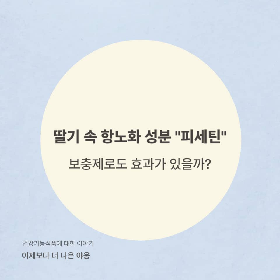 딸기 속 항노화 성분 피세틴, 보충제로도 효과 있을까?