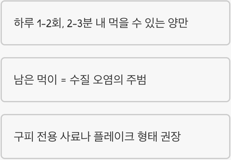 먹이, '과유불급'의 원칙을 기억하세요