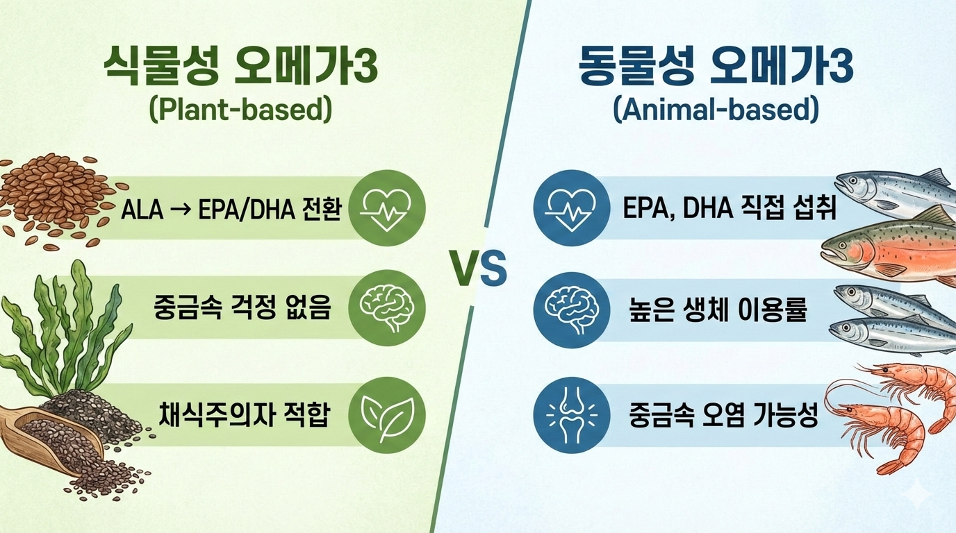 식물성 오메가3와 동물성 오메가3 차이점 이미지