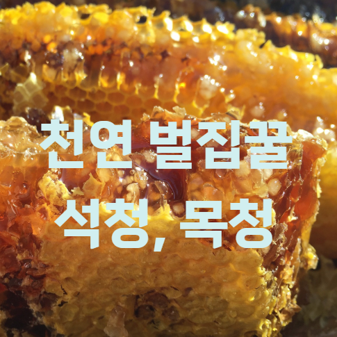 천연 벌집꿀인 석청과 목청