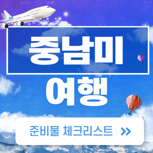 중남미 여행 필수 준비물, ESTA 신청하기