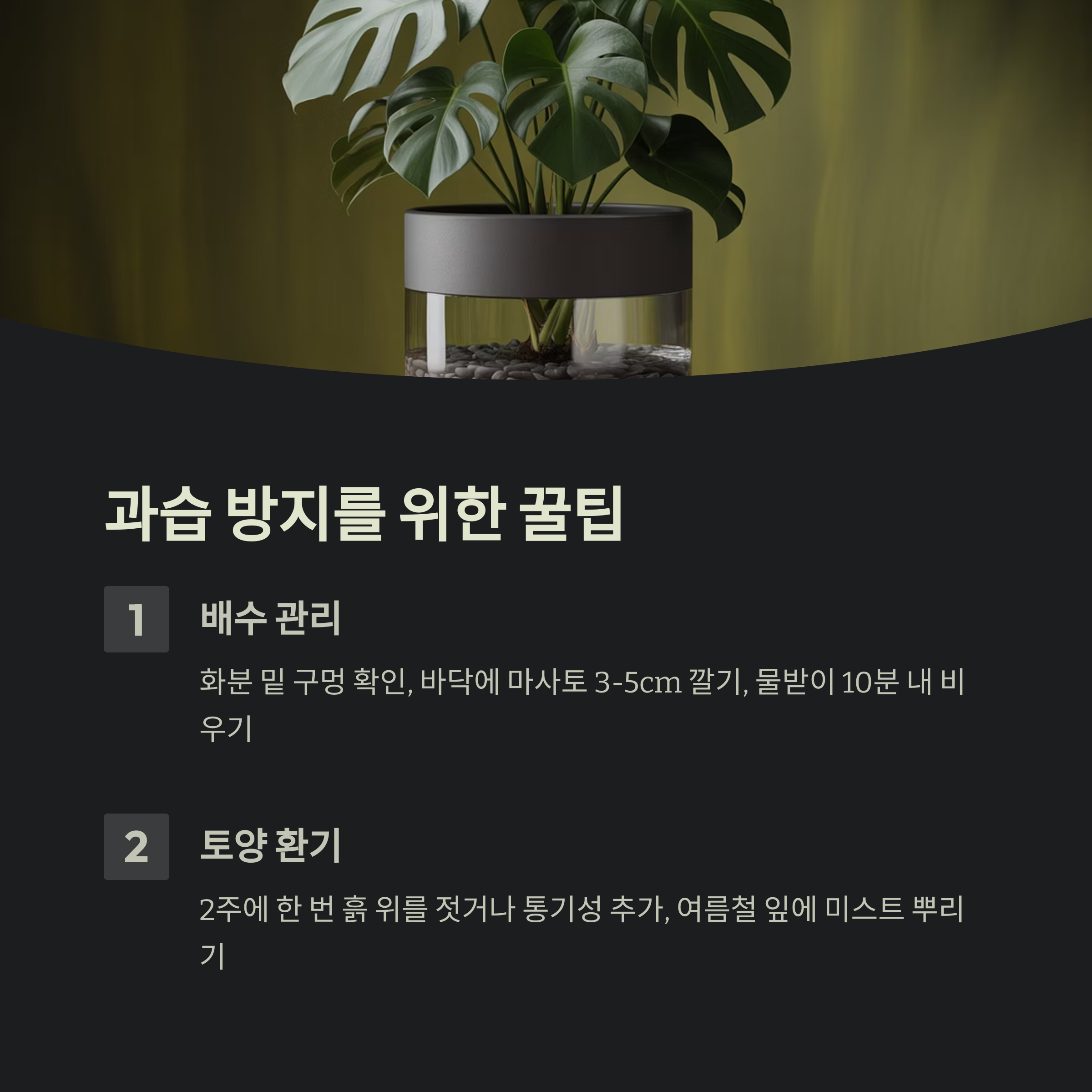 과습을 막는 관리 꿀팁