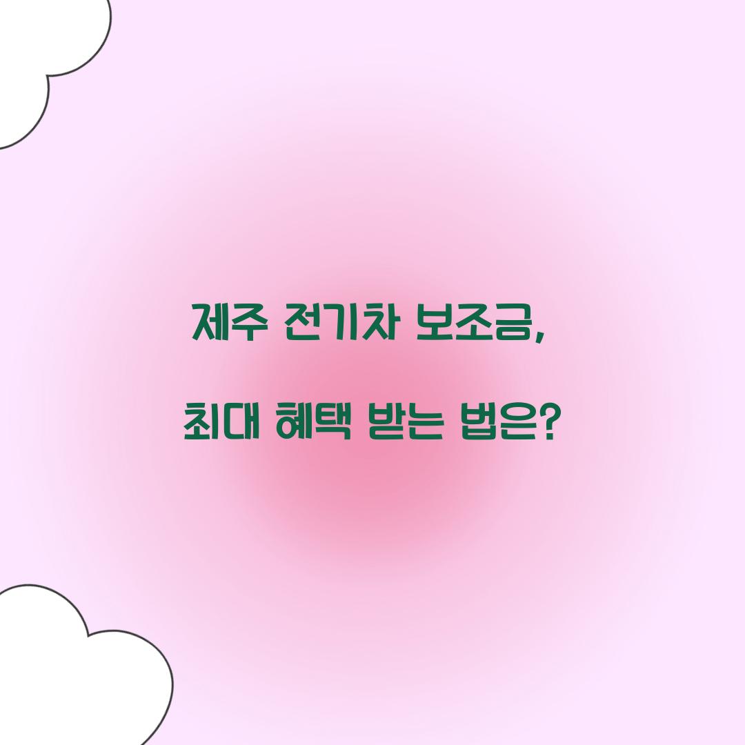 제주 전기차 보조금