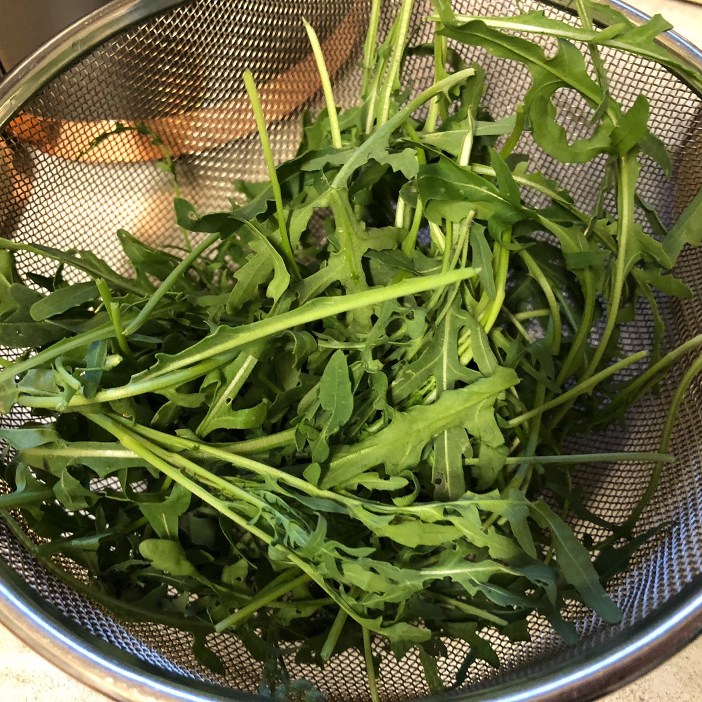 체에-담긴-루꼴라