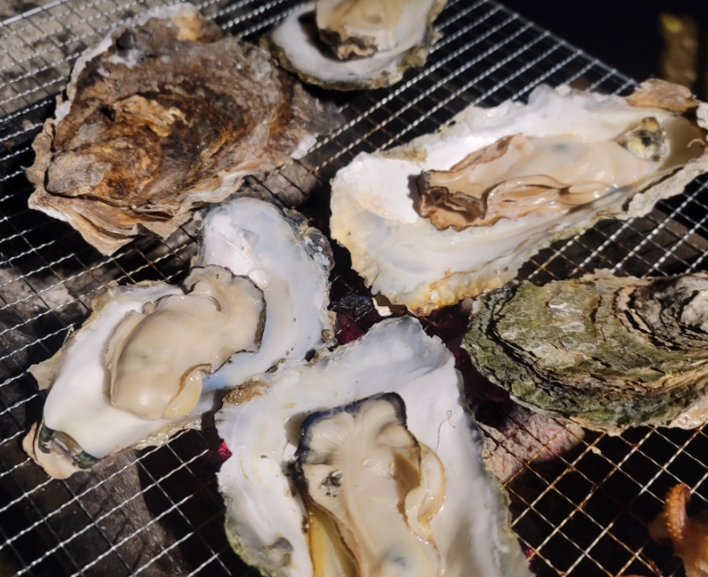 광양 벚굴1