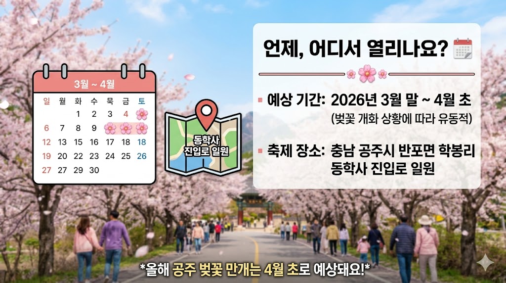 공주 벚꽃