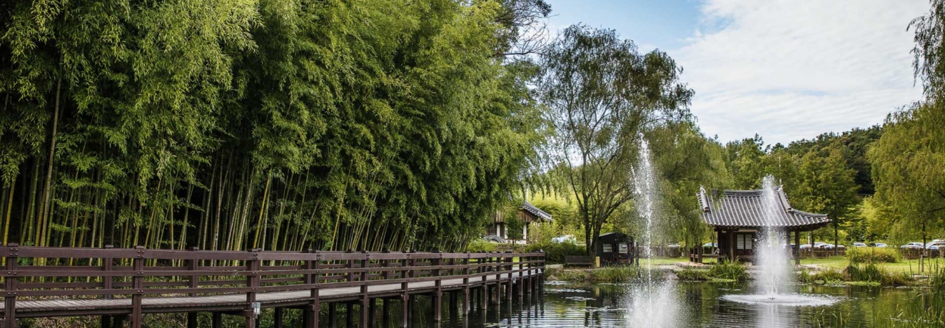 담양 가볼만한곳 여행지 죽녹원