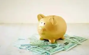 청년도약계좌 정부 기여금 확대 월 최대 3만3000원